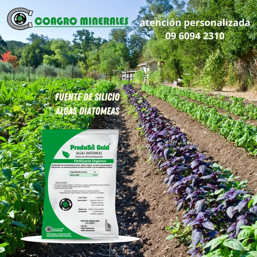 HARINA DE ROCAS, fertilizante orgànico.