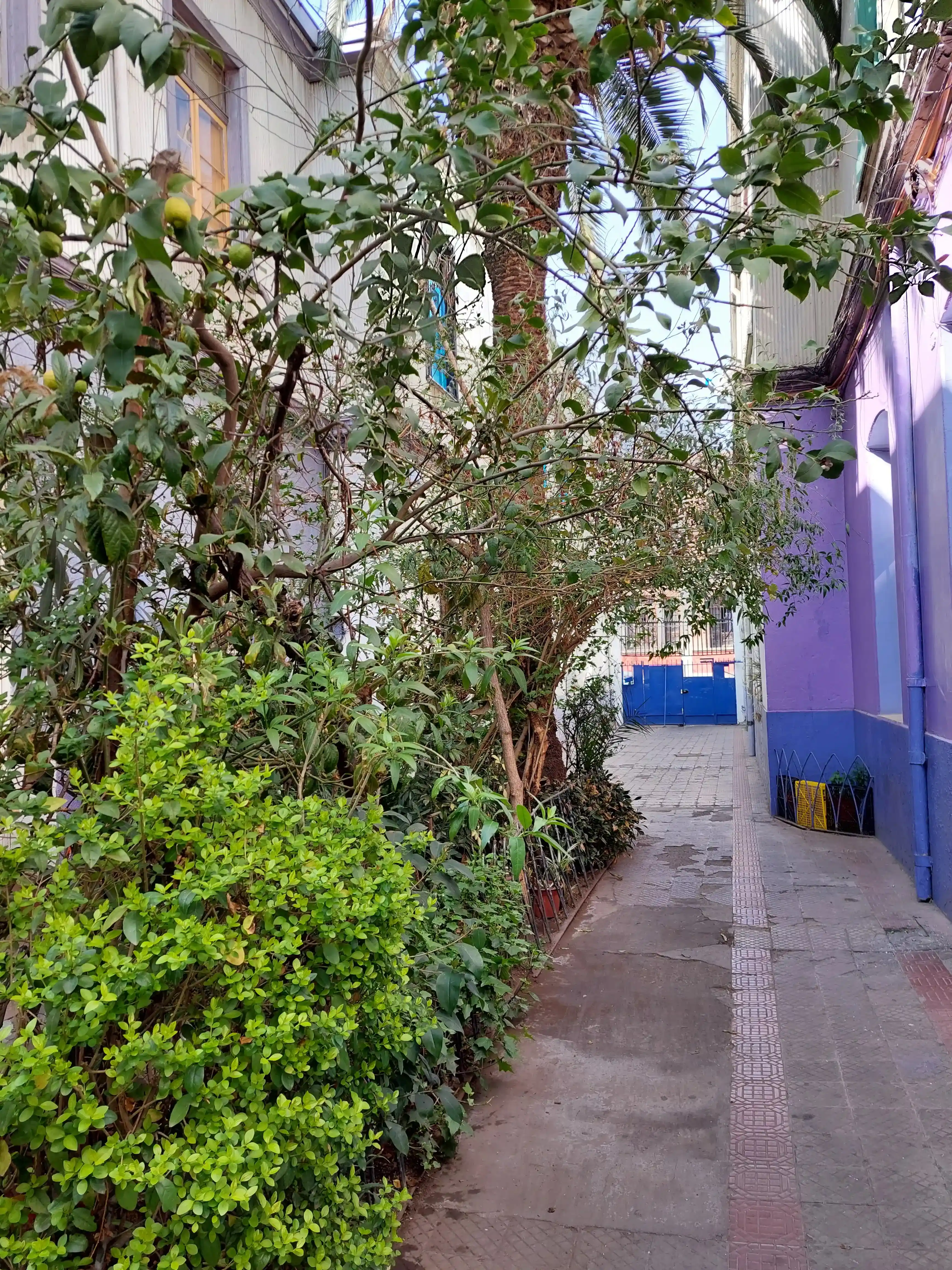 Venta casa sector universitario.