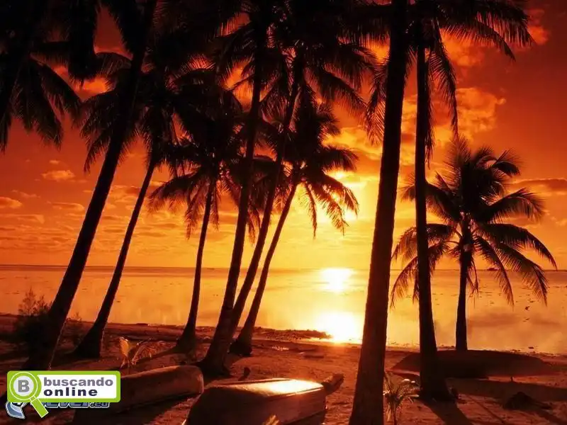 Villancicos de Navidad!