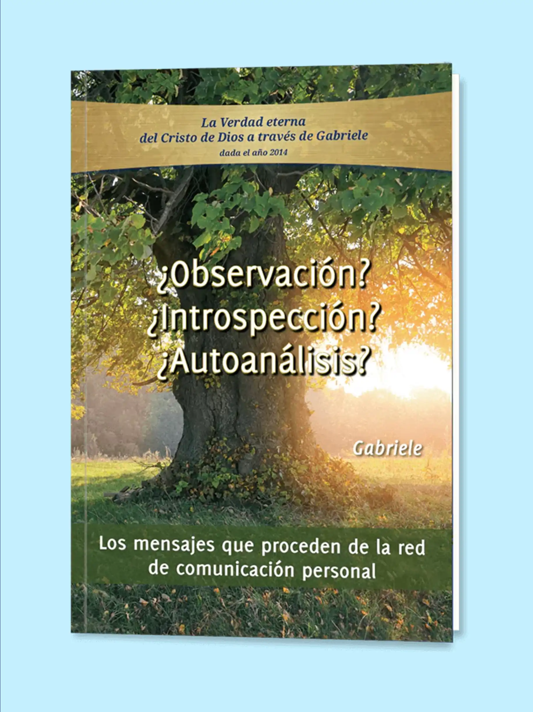Ebook ¿Observación? ¿Introspección? ¿Autoanálisis?