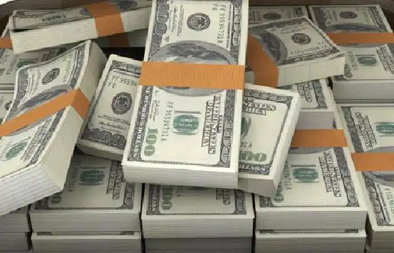 Proyectos y Negocios Financiamiento, Préstamos