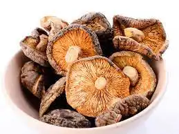 Champiñones Secos están disponibles