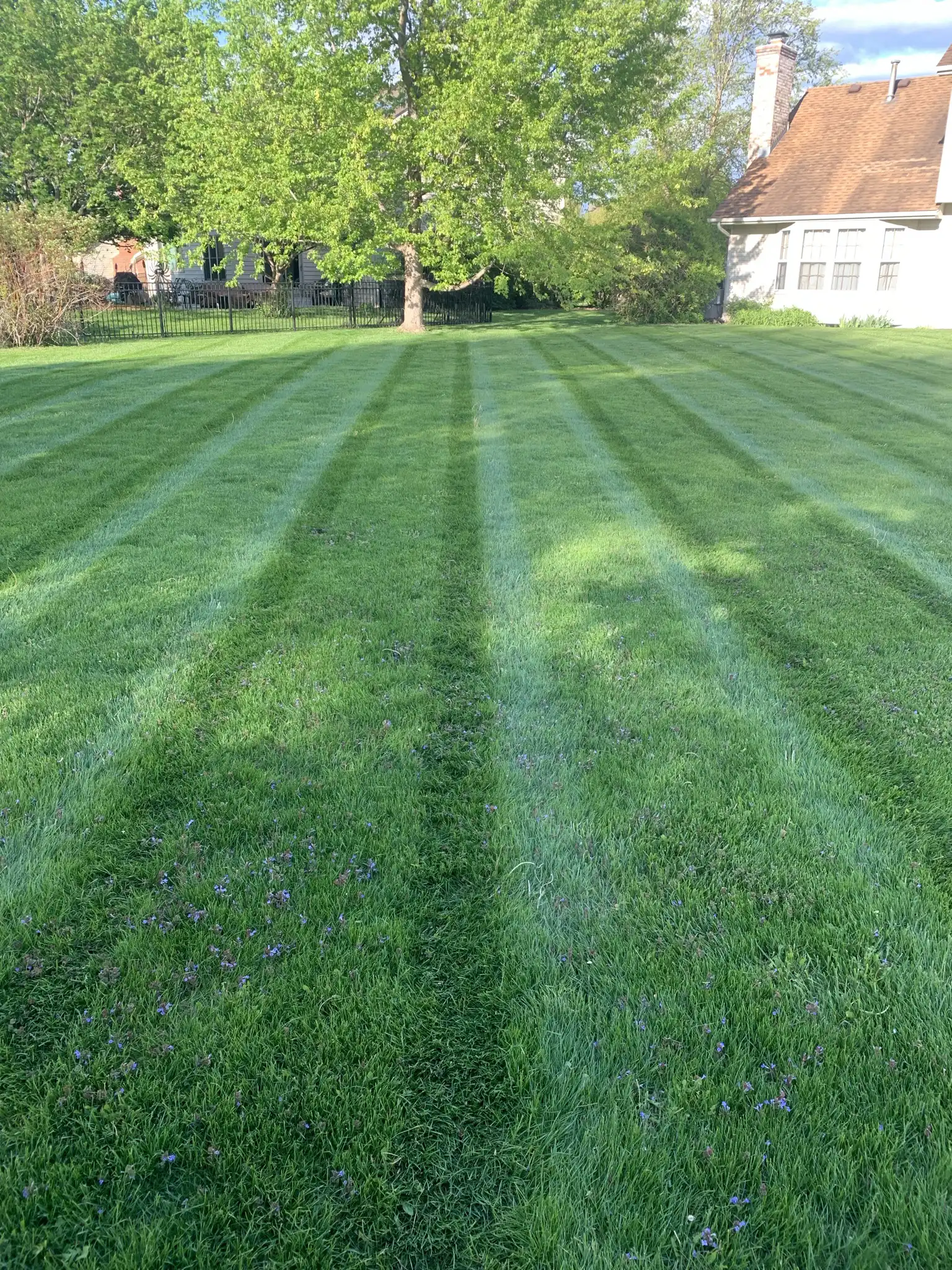 mowing