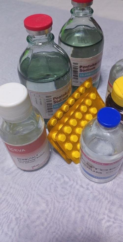 potassium cyanide, Nembutal,opiods, farxiga,botox,fentanyl,cocaine,trazadone,methadone,consentyx pens,naproxen,viagra,otezla,mephedrone,tramadol,Bisko