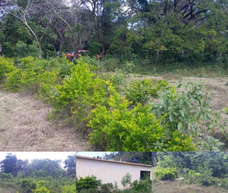 Amplios Lotes De Terrenos Autopista 6 De Noviembre!!